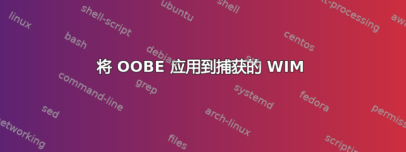 将 OOBE 应用到捕获的 WIM