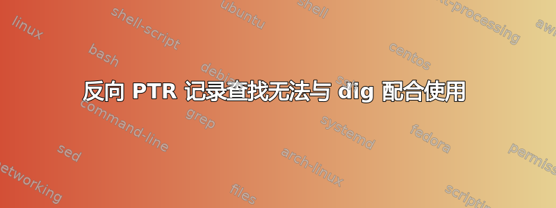 反向 PTR 记录查找无法与 dig 配合使用