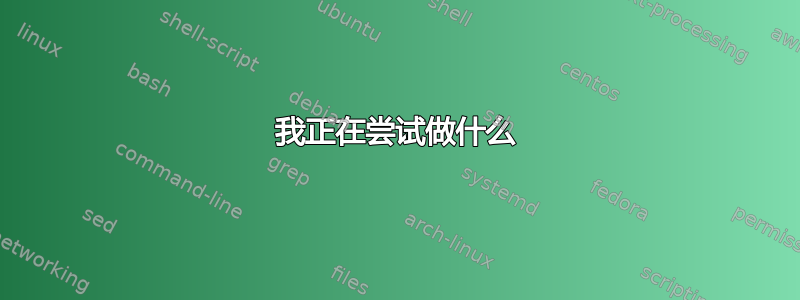 我正在尝试做什么