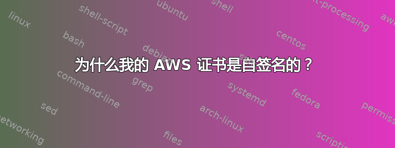 为什么我的 AWS 证书是自签名的？