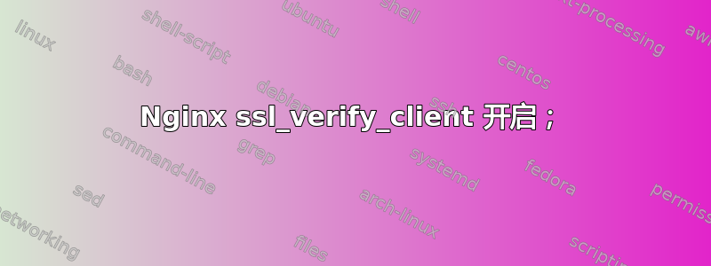 Nginx ssl_verify_client 开启；