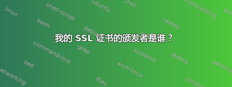 我的 SSL 证书的颁发者是谁？