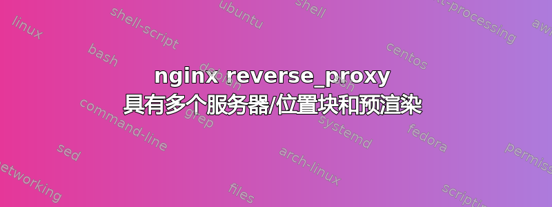 nginx reverse_proxy 具有多个服务器/位置块和预渲染