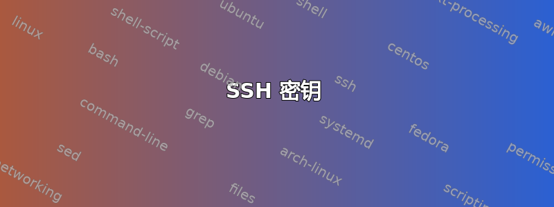 SSH 密钥