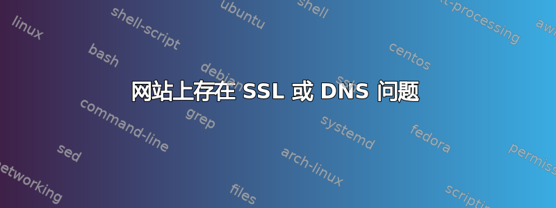 网站上存在 SSL 或 DNS 问题