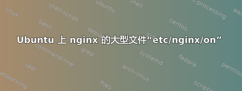 Ubuntu 上 nginx 的大型文件“etc/nginx/on”