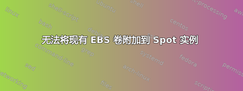 无法将现有 EBS 卷附加到 Spot 实例