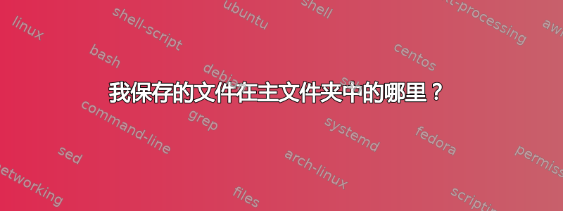 我保存的文件在主文件夹中的哪里？