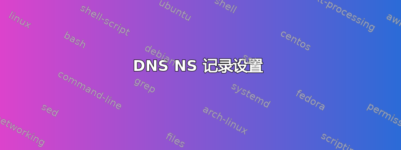 DNS NS 记录设置