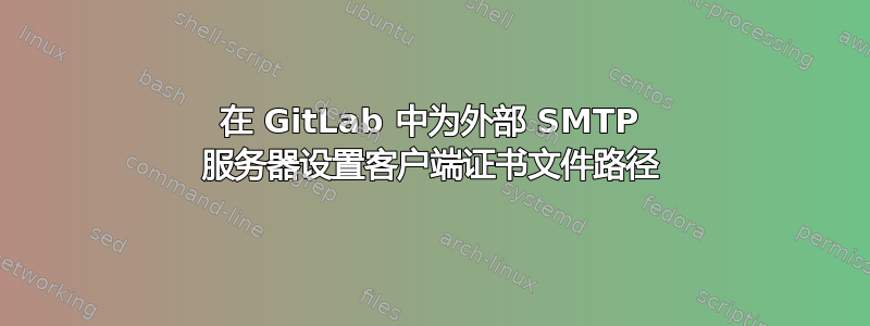 在 GitLab 中为外部 SMTP 服务器设置客户端证书文件路径