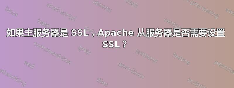 如果主服务器是 SSL，Apache 从服务器是否需要设置 SSL？