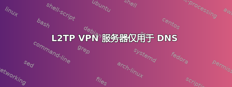 L2TP VPN 服务器仅用于 DNS