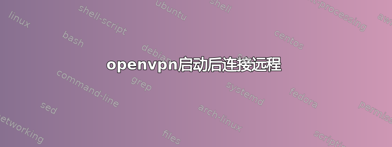 openvpn启动后连接远程