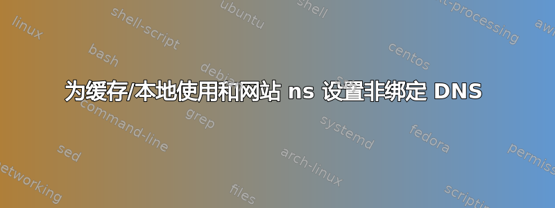 为缓存/本地使用和网站 ns 设置非绑定 DNS