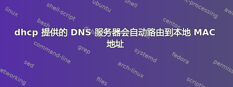 dhcp 提供的 DNS 服务器会自动路由到本地 MAC 地址