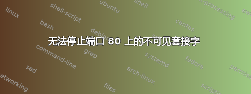 无法停止端口 80 上的不可见套接字