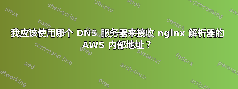 我应该使用哪个 DNS 服务器来接收 nginx 解析器的 AWS 内部地址？