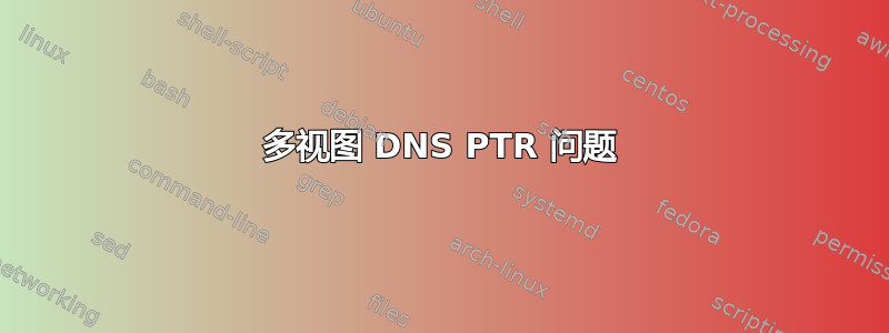 多视图 DNS PTR 问题