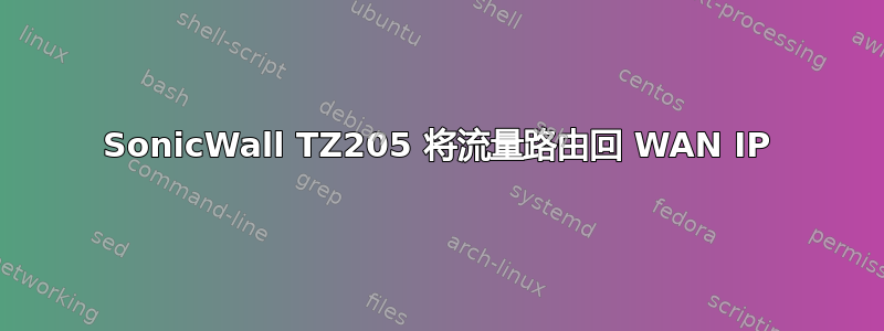 SonicWall TZ205 将流量路由回 WAN IP