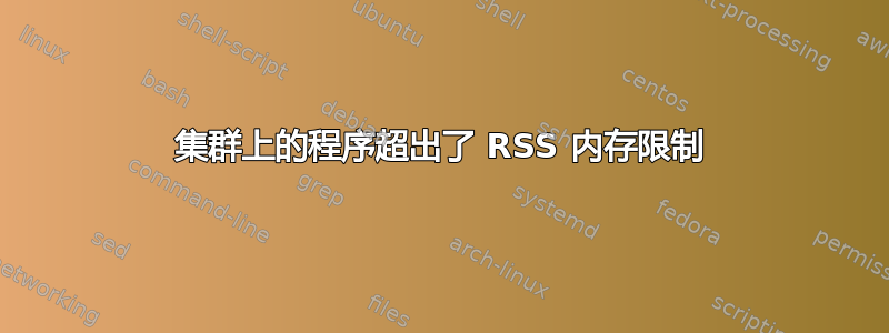 集群上的程序超出了 RSS 内存限制