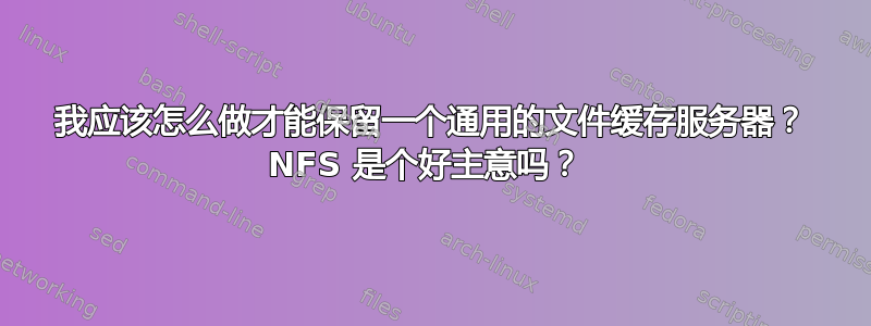 我应该怎么做才能保留一个通用的文件缓存服务器？ NFS 是个好主意吗？ 