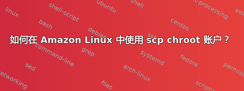 如何在 Amazon Linux 中使用 scp chroot 账户？