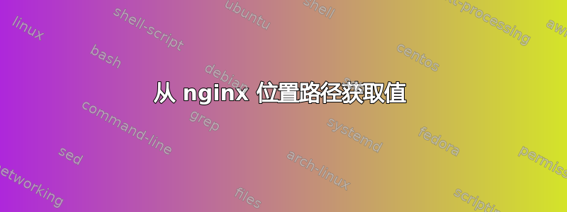 从 nginx 位置路径获取值