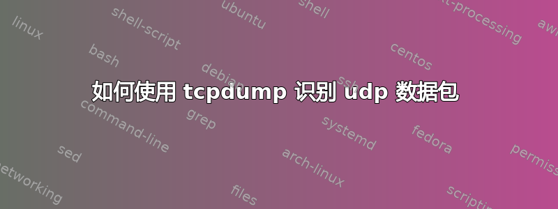 如何使用 tcpdump 识别 udp 数据包