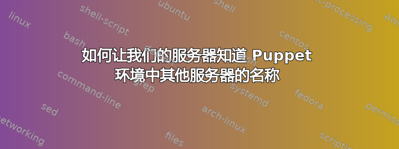 如何让我们的服务器知道 Puppet 环境中其他服务器的名称