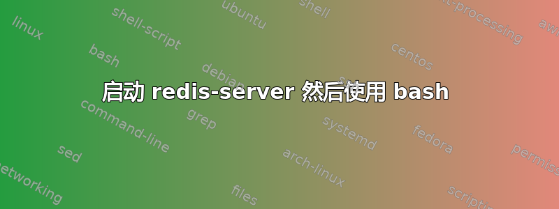 启动 redis-server 然后使用 bash