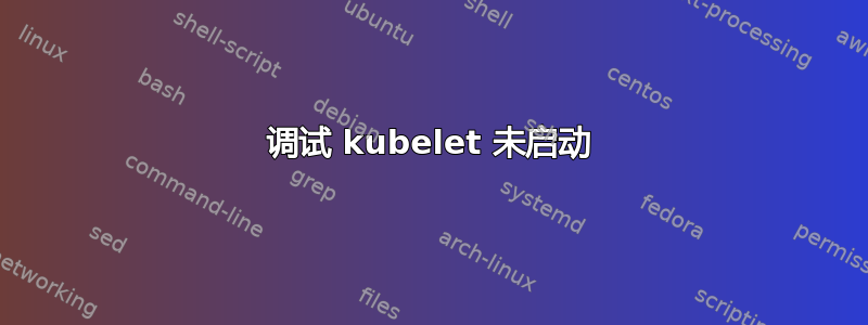 调试 kubelet 未启动