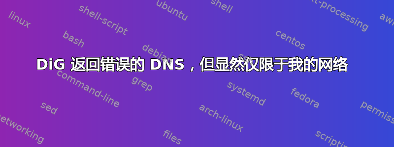 DiG 返回错误的 DNS，但显然仅限于我的网络 