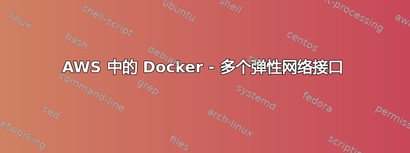 AWS 中的 Docker - 多个弹性网络接口