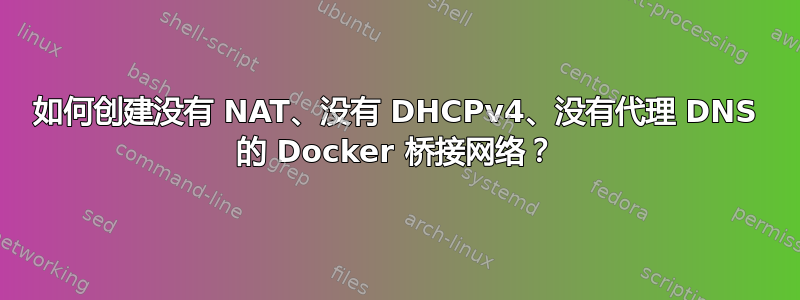 如何创建没有 NAT、没有 DHCPv4、没有代理 DNS 的 Docker 桥接网络？