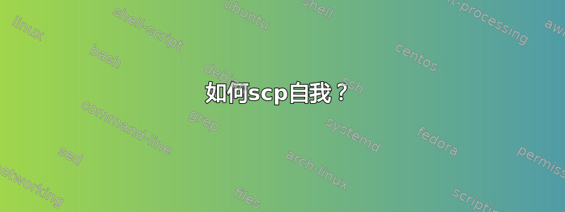 如何scp自我？