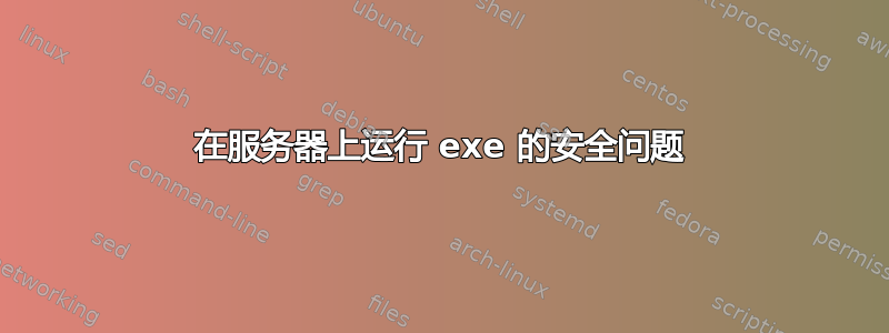 在服务器上运行 exe 的安全问题