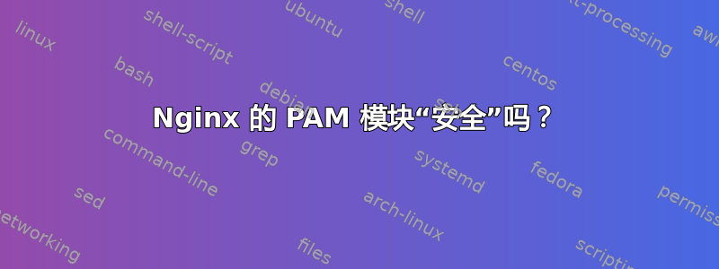 Nginx 的 PAM 模块“安全”吗？