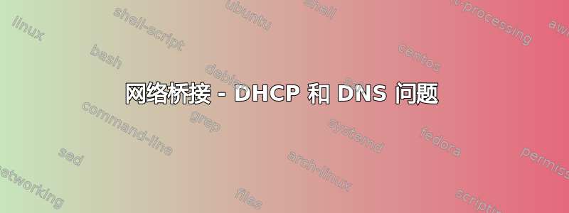 网络桥接 - DHCP 和 DNS 问题