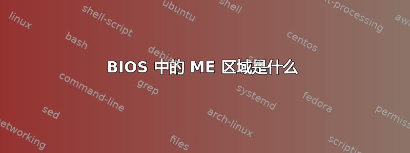 BIOS 中的 ME 区域是什么