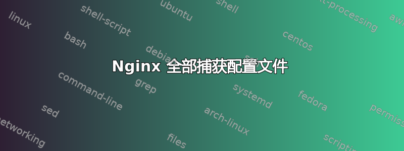 Nginx 全部捕获配置文件