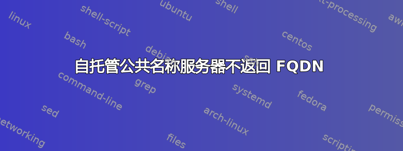 自托管公共名称服务器不返回 FQDN