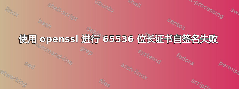 使用 openssl 进行 65536 位长证书自签名失败