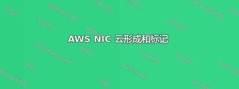 AWS NIC 云形成和标记