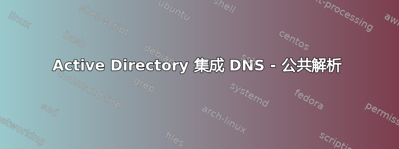 Active Directory 集成 DNS - 公共解析