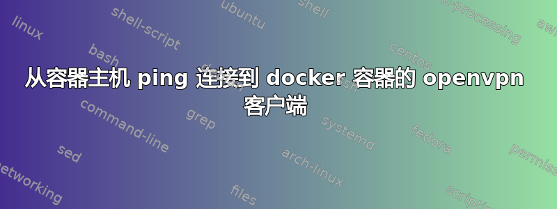 从容器主机 ping 连接到 docker 容器的 openvpn 客户端