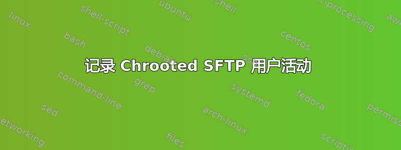 记录 Chrooted SFTP 用户活动