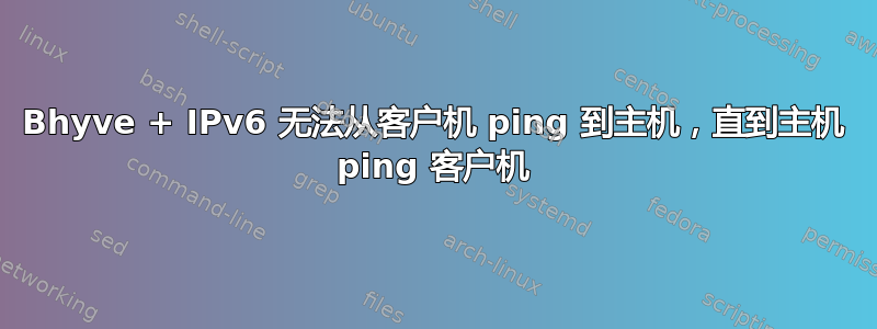 Bhyve + IPv6 无法从客户机 ping 到主机，直到主机 ping 客户机