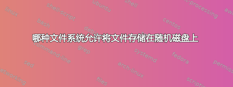 哪种文件系统允许将文件存储在随机磁盘上