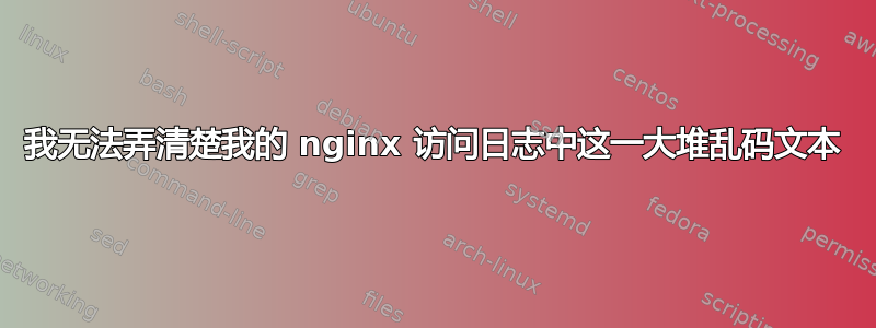 我无法弄清楚我的 nginx 访问日志中这一大堆乱码文本