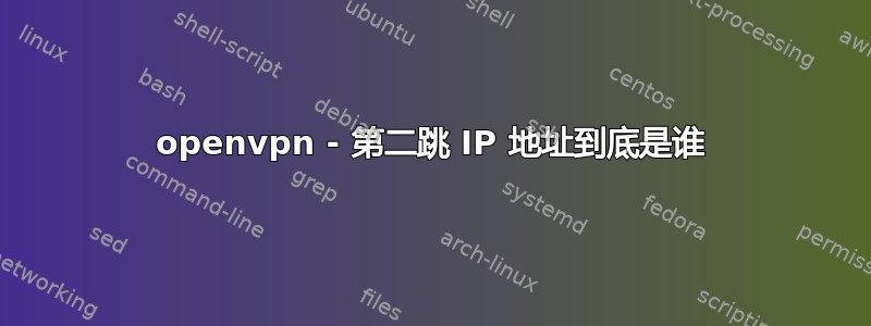 openvpn - 第二跳 IP 地址到底是谁